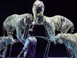 ���������� ������ � ��� �� ��������� ��-�� ������