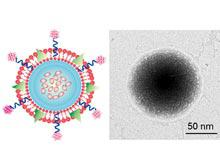 ����� ������� �������� ���, ����� ������������� ���������, ������� �����������