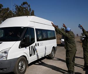 ��� ������������� ������������ �������� � �����