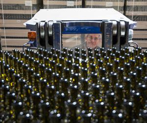 ����������������� ������� ����������� ������������ �������� ������� ��������