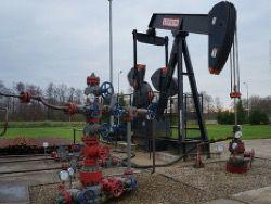 ���� �������� ������� �� �������� ������ �� �����