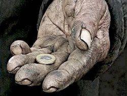 � 2016 ���� ����������� ��� ������ ����� ������