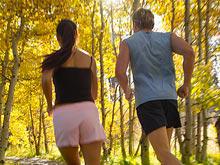 ���������� ���������� � ����� �� ������� ������� �������� ��������� ����� ��������