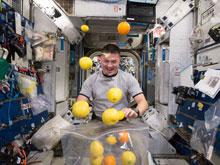 ������������� �������, ��� ���������� ���������� ������ �� ���� �����������