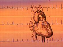 ������ ������������� �������� ���������� ��� ���������� � ��������