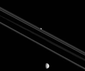 Cassini      -   