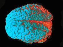 ���������� ����� �������� �������� ���������