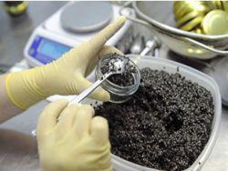 ��������� ������ ���� ������� ����������� ����������