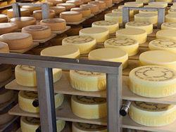 ����������� ��������� ��������� ���������� ��� � ������