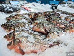 ������� ������� ��� ��������� ����