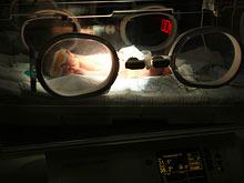 ��������������� ���� ��������� ����� � �����, �������� ������