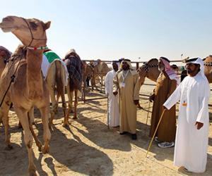 ��� ���������� � ��������� ����������� ������ � ������