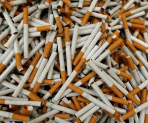 � ��� �������� ������� �������� ������������ �������� �� ������� �����������