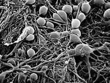 ������ �� ������� �� ������ � ����� ������������� ��������� ������, ������� ��������