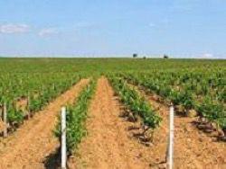 �������� ��������� ����� ������� �� ����������� ����