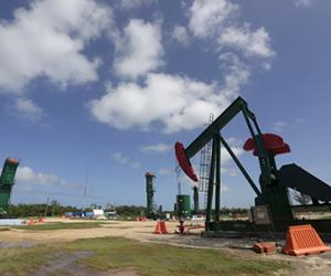 ���� ������� ��������� ���� 73 ������