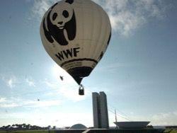 WWF       