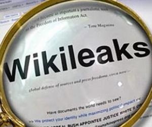 Wikileaks       
