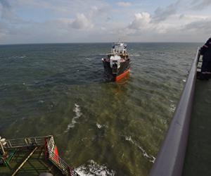 ����� ������� �� ���������� ������ ���� � ��� ����