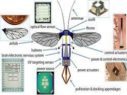 RoboBee:   - ,    