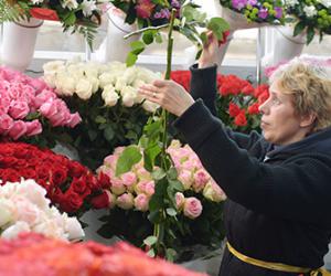 ���������������� ��������� ������� ��������� �����