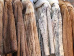 ���� �� ���� ������ �� ���������