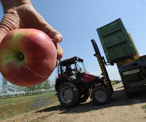 ���������������� � ��������������� ����������� � ������� ����