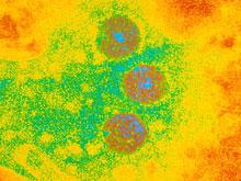 ����� ������� - ���� �� ����� ���������������� � ����, ���������� ����������