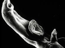 ������ �������� � ��������� ������������� ������� � �����