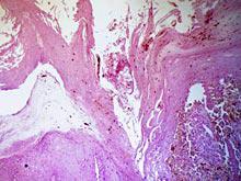 �������� ���������� �������� ������� ������� � ������� ������