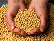 ��������: ��� ������� ������ �� �����������