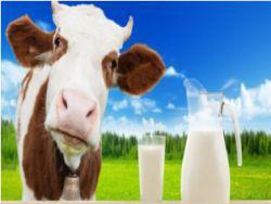 ������: ������� �������� ��������� ���������� �� �����