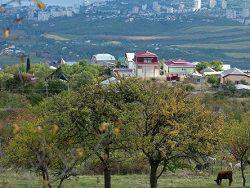 ����� ����� 10 ���. ������������ �������� �������