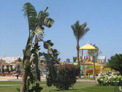 ������ ������ ��� ������� ��� �������