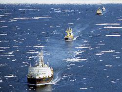 �� ����� �������� ������� ������ �� 7 ��������� � 2020 ����