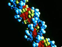 � 2017 ���� ����� ������ ������ ����� ������� �������������� ���