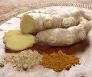 ������ ��� ���������: ������� ����������