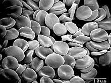 ������ ����������� ������������� � �������������