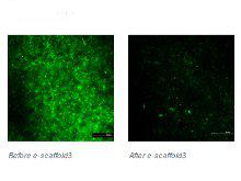 ���� ������������� ������� ���������� �� ����� ������� ��������