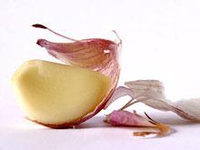 ����� ������� ������ ������ ����������������