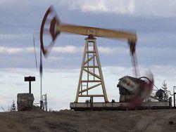 ���� ������������ �������� ������ �� �����