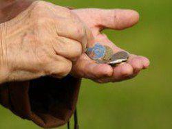 �� ������������� ���, 90% ������� - ������ ����