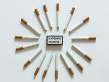 ���������� ��������� ������������� ������������ �����