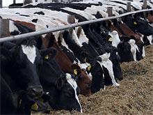 ������������ ���� ���������� ���� ���������� ������ ��� ��������