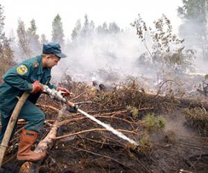 ���������� ������� ����� �� ������������� ������� � 30-60 ���������� ������