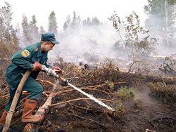 ���������� ������� ����� �� ������������� ������� � 30-60 ����