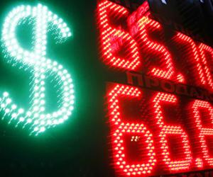 ������ ���� ����65�������