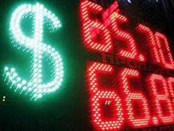 ������ ���� ���� 65 ������