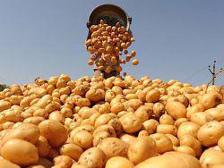 ���� �������� �������� ����� ������������ �������?