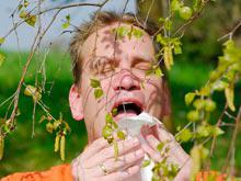 �������� �� ������ ����������� ���� ���������